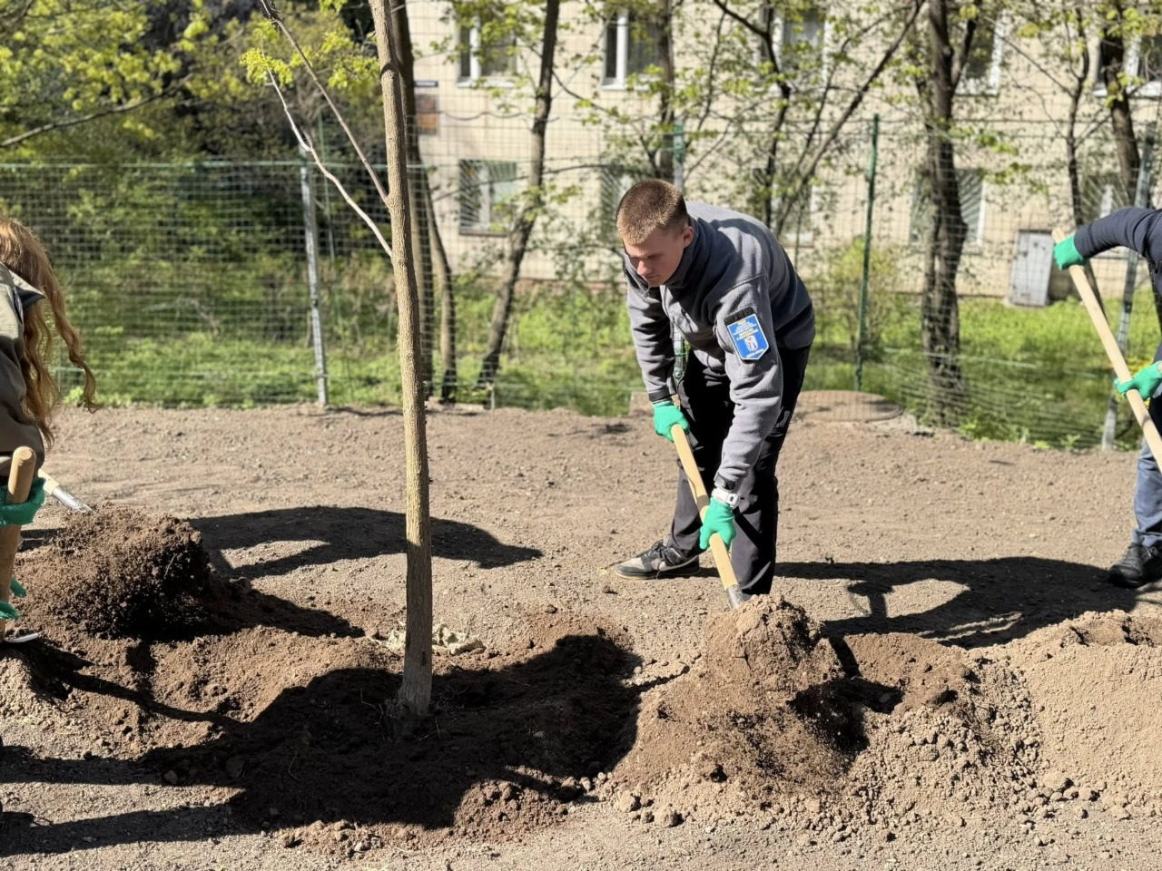 Зелена зона замість МАФів: у Печерському районі Києва висадили дерева і кущі