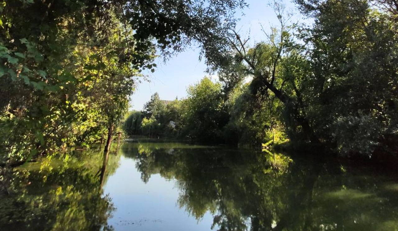 Урочище "Горбачиха" понад 30 років без заповідного статусу: прокуратура звернулася до суду