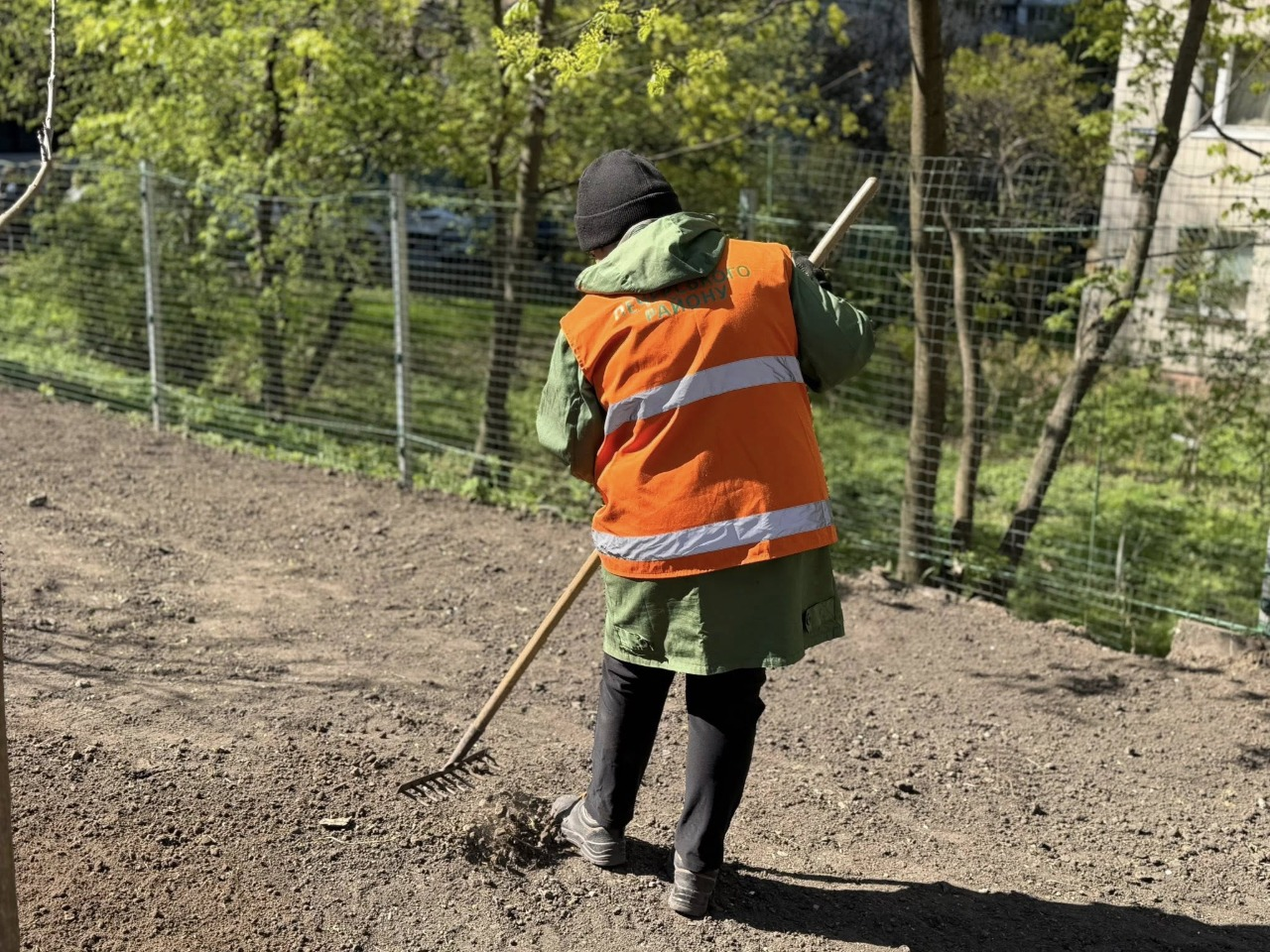 Зелена зона замість МАФів: у Печерському районі Києва висадили дерева і кущі