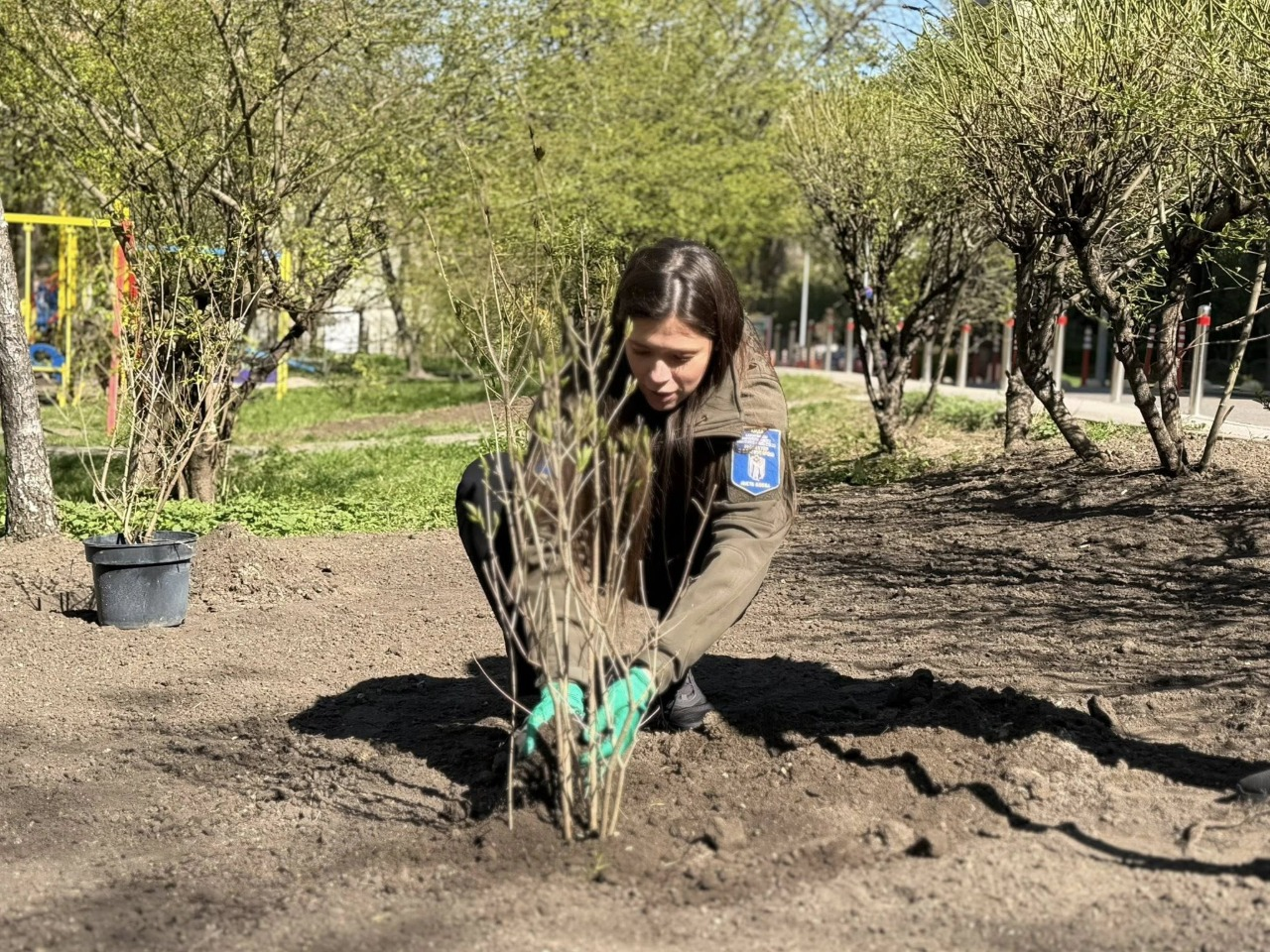 Зелена зона замість МАФів: у Печерському районі Києва висадили дерева і кущі