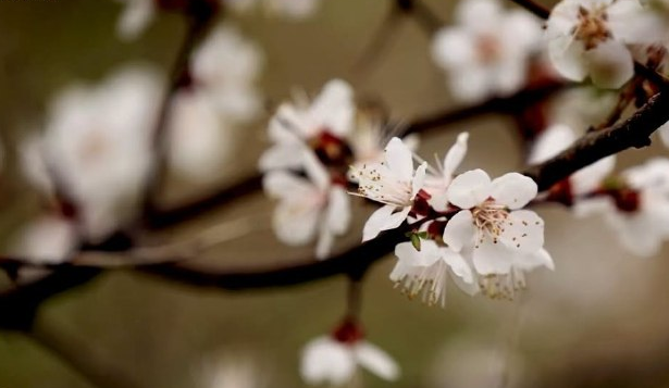 Тепло до +15, дощитиме: якою буде погода у Києві на вихідних