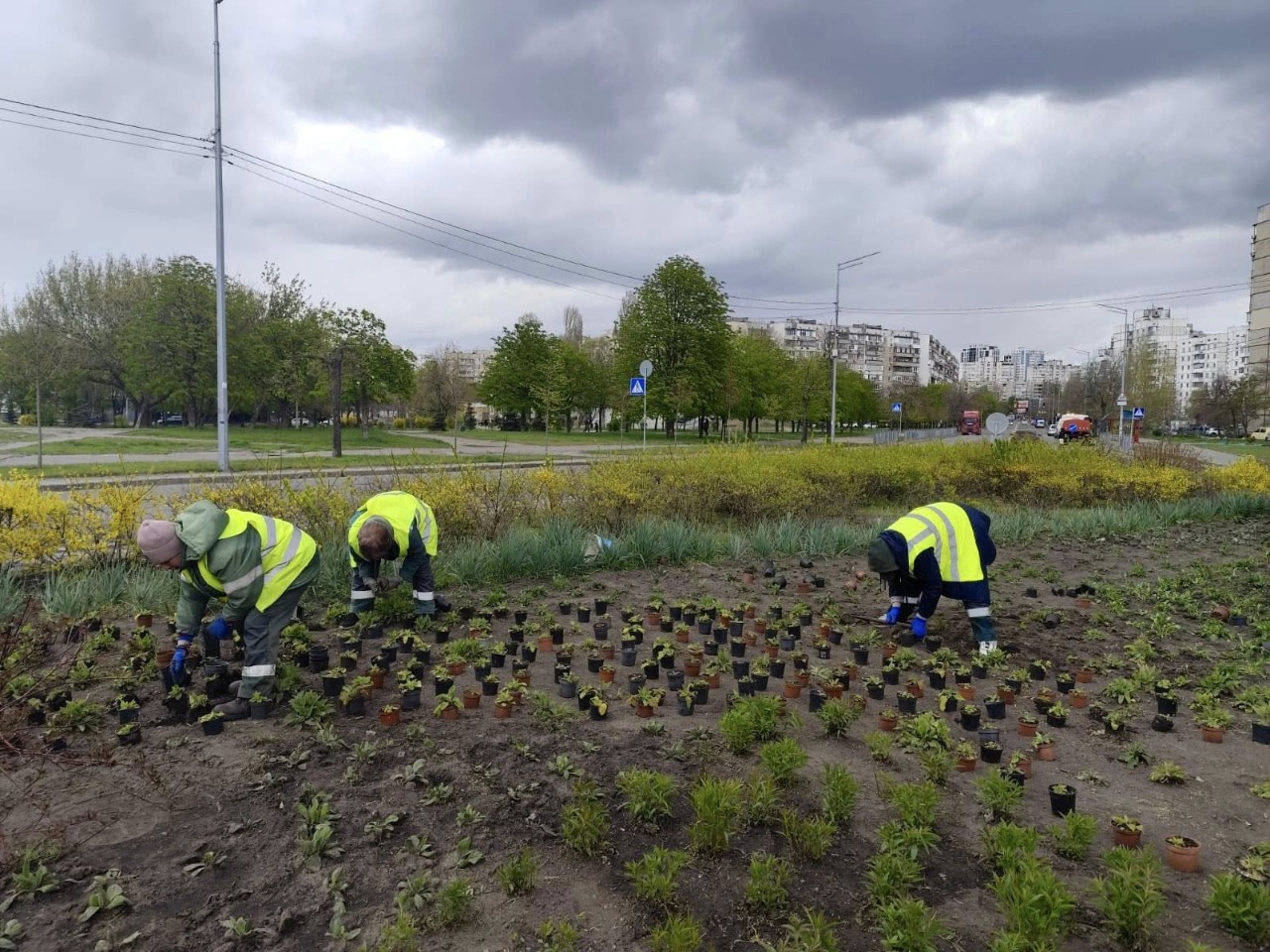 У Києві висадили сотні нових дерев та тисячі кущів і квітів: фото та локації
