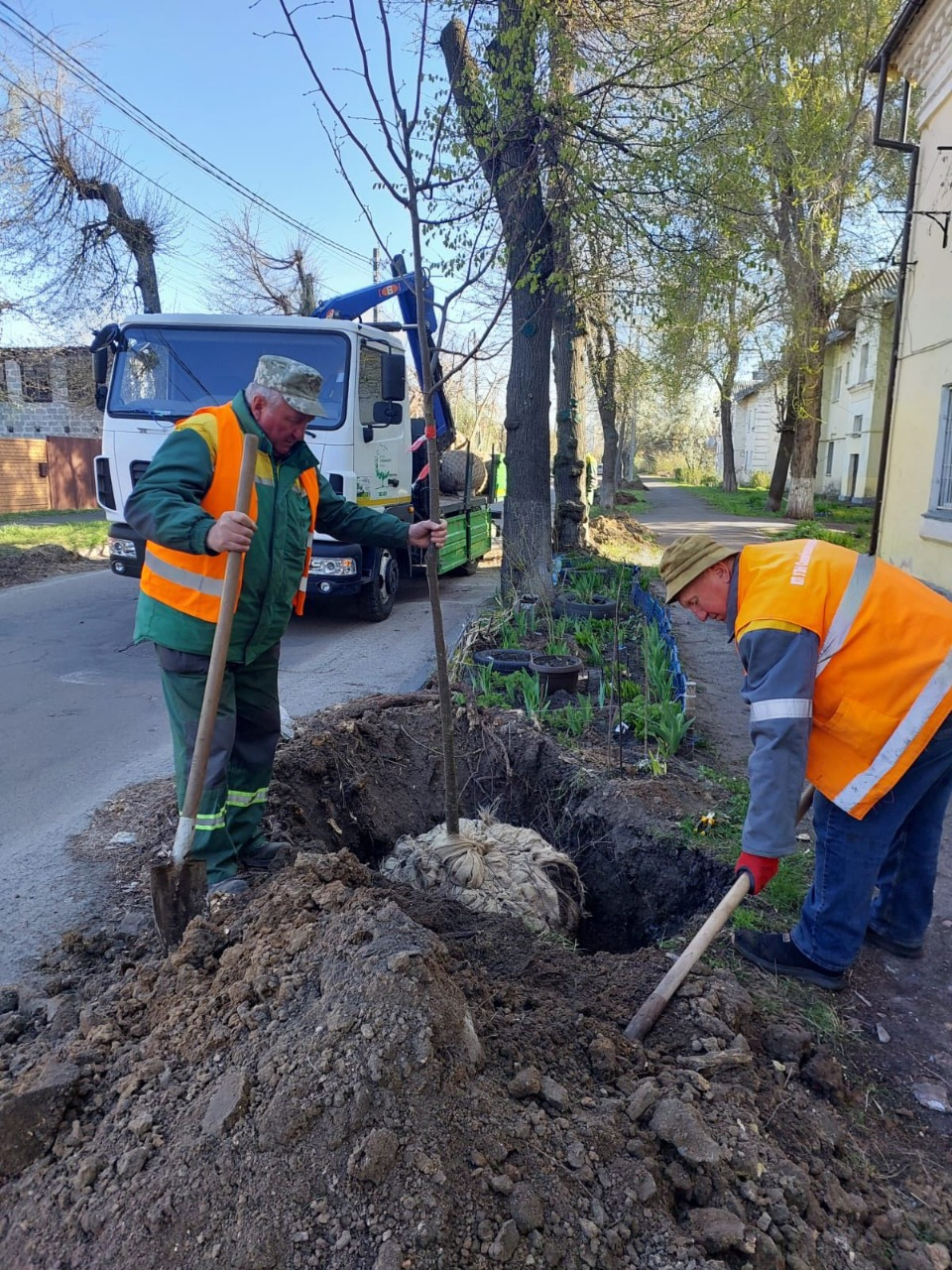 У Києві висадили сотні нових дерев та тисячі кущів і квітів: фото та локації