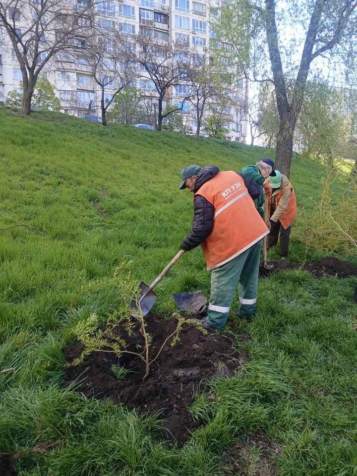 У Києві висадили сотні нових дерев та тисячі кущів і квітів: фото та локації