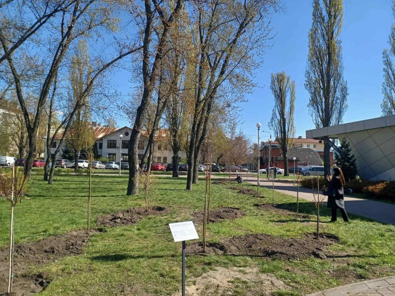 У Києві висадили сотні нових дерев та тисячі кущів і квітів: фото та локації