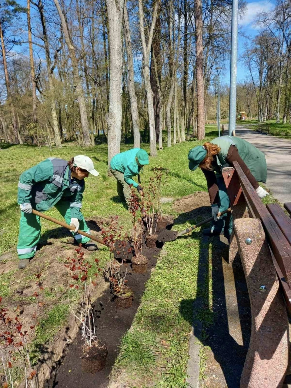 У Києві висадили сотні нових дерев та тисячі кущів і квітів: фото та локації