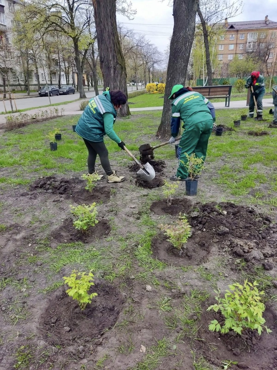 У Києві висадили сотні нових дерев та тисячі кущів і квітів: фото та локації
