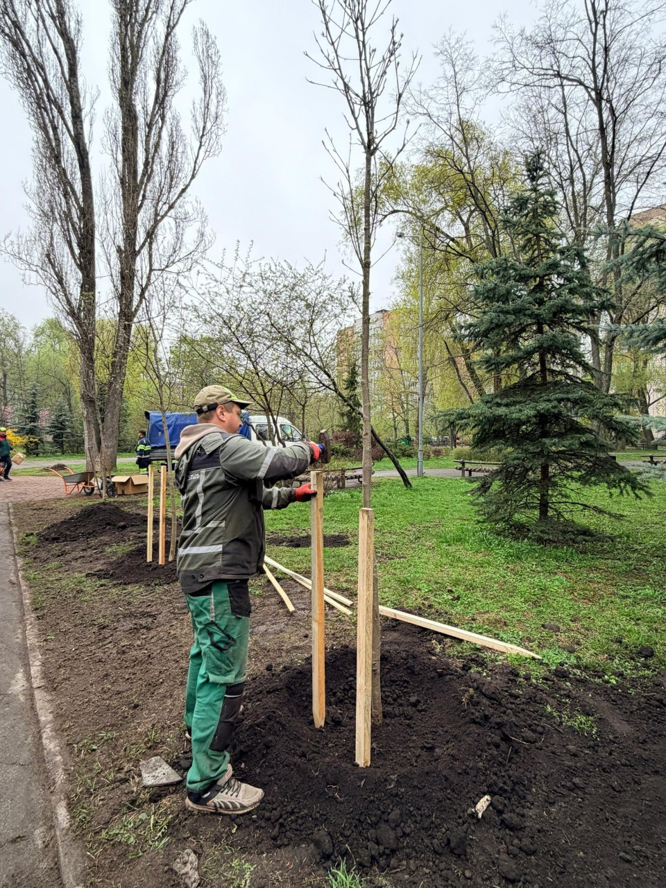 У Києві висадили сотні нових дерев та тисячі кущів і квітів: фото та локації