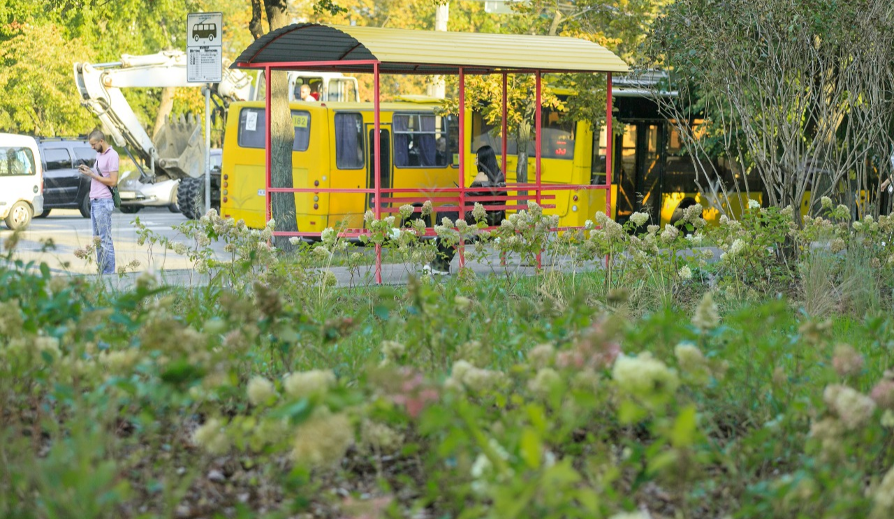 Який район у Києві найзеленіший: дослідження