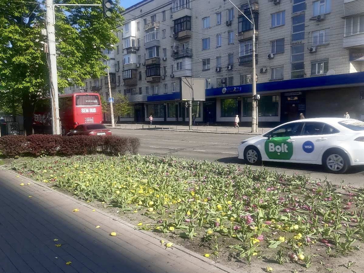 Невідомі масово знищили клумби з тюльпанами у двох районах Києва