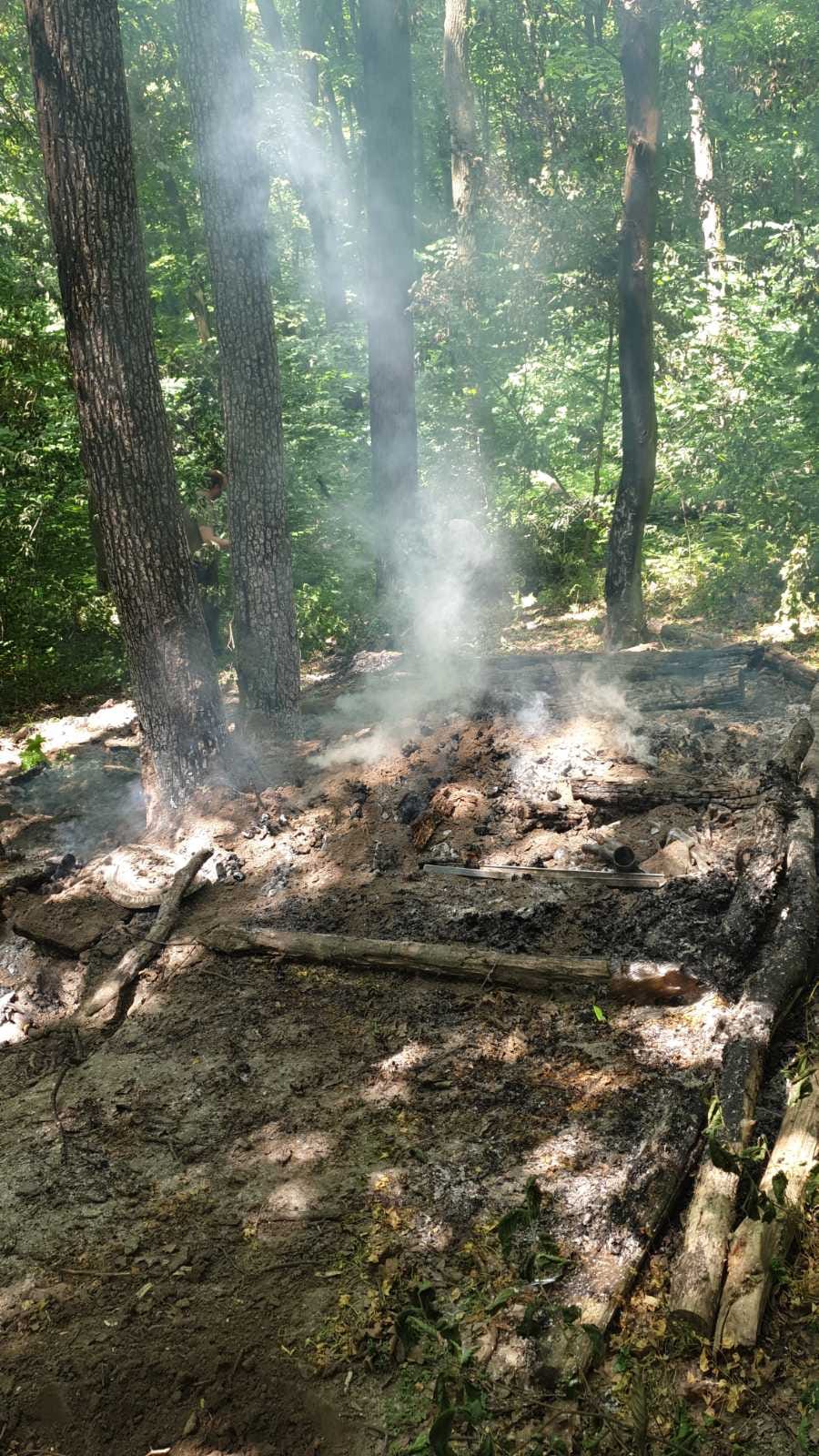 у Голосіївському лісі невідомі підпалювали дерева