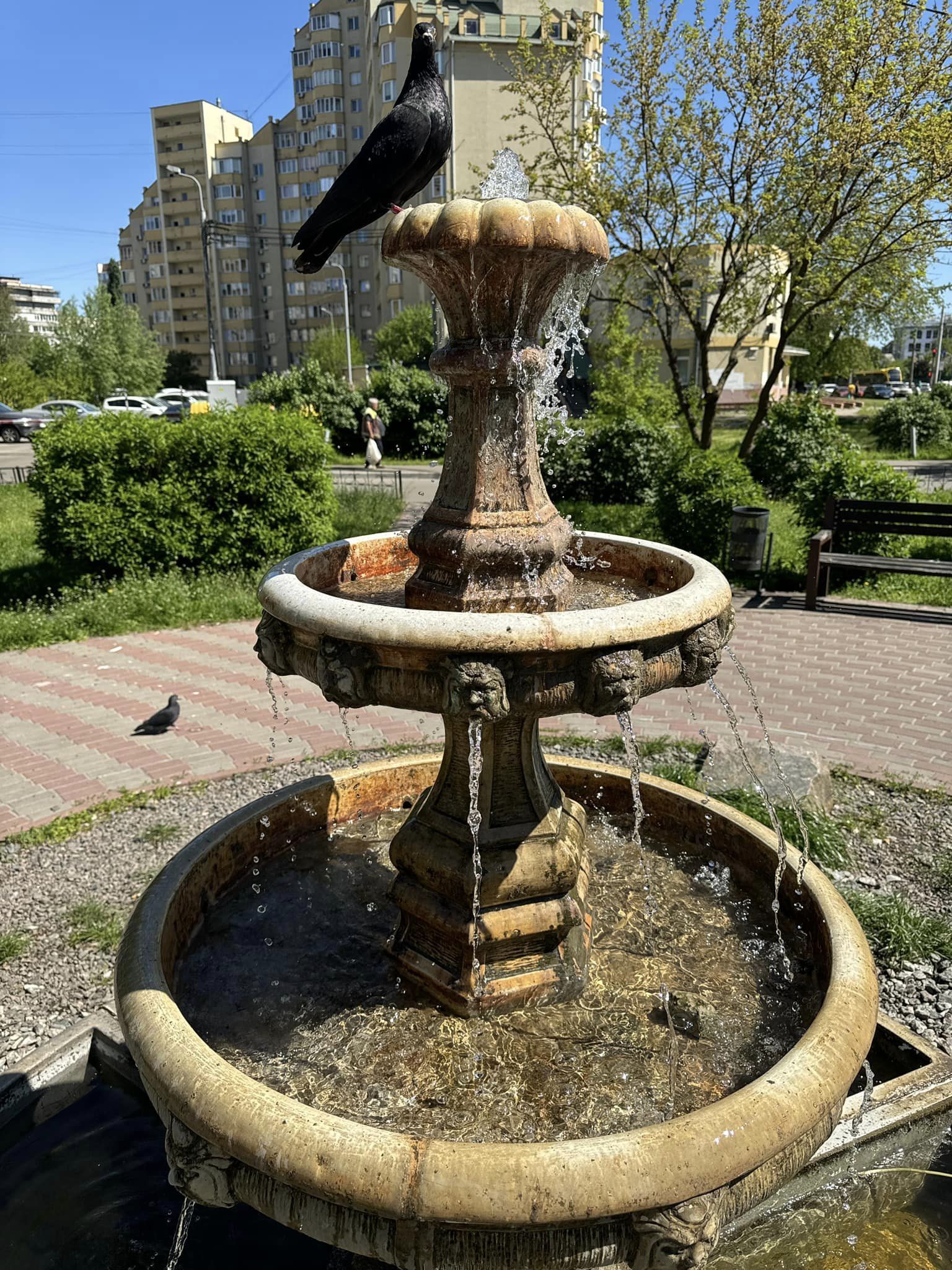 У Дарницькому районі Києва запрацювали фонтани
