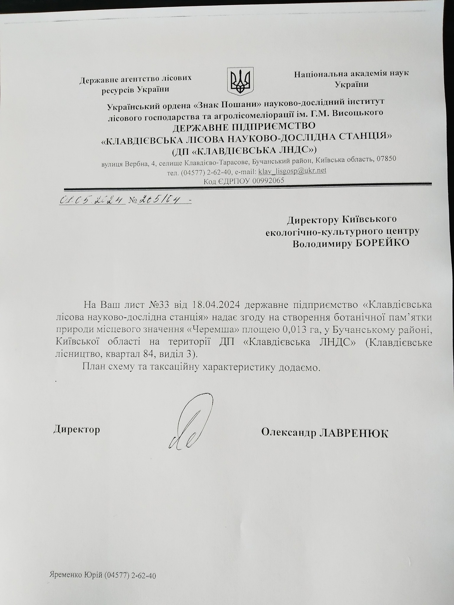 На Київщині хочуть створити пам’ятку природи для захисту червонокнижної черемші: деталі