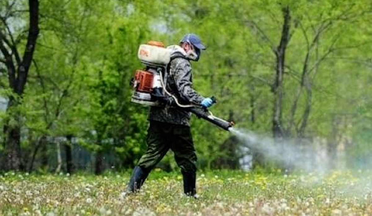 В парках Києва проведуть акарицидну обробку проти кліщів: де та коли