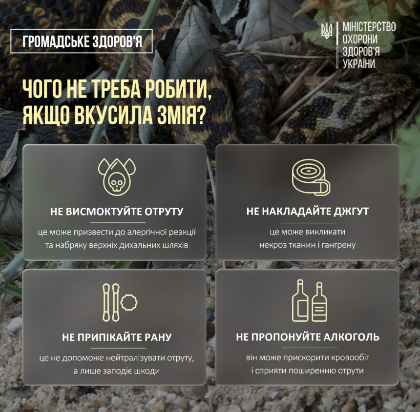 В Україні розпочався сезон змій: які змії отруйні, як уберегтися від укусів