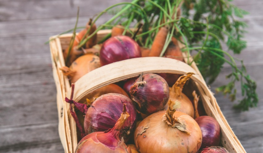 6-11 травня 2025 року у Києві проводитимуть продуктові ярмарки: перелік адрес