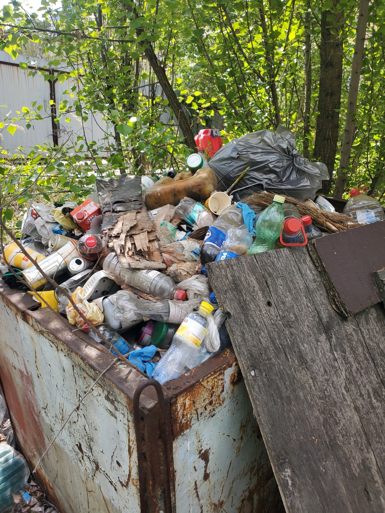Киян запрошують долучитися до толоки на Поштовій площі: дата і час