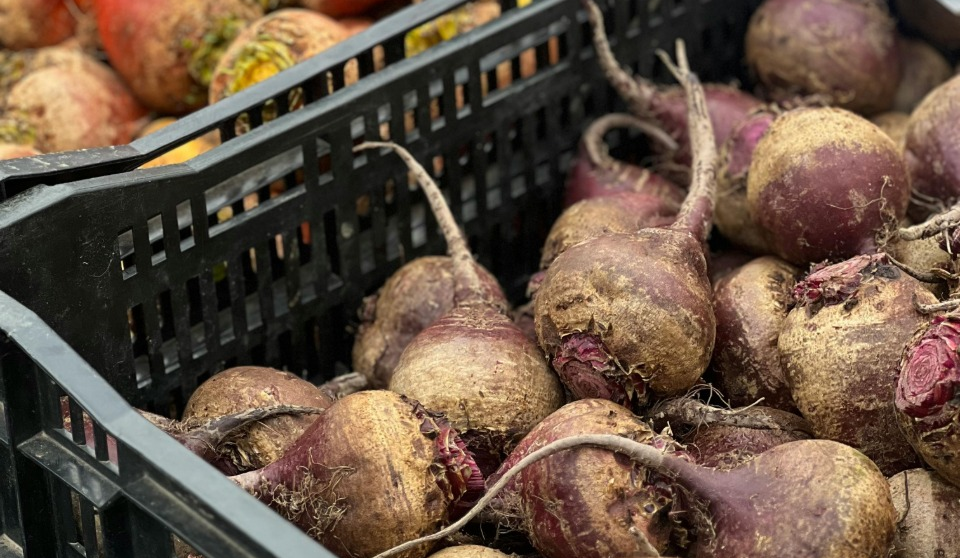 13-18 травня 2025 року у Києві проводитимуть продуктові ярмарки: перелік адрес