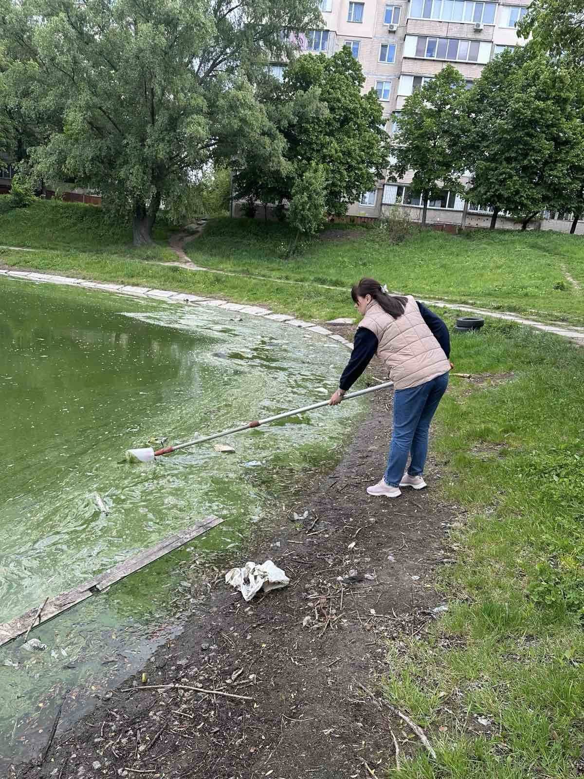Забруднення на озері Віра у Святошинському районі Києва: що відомо про стан водойми