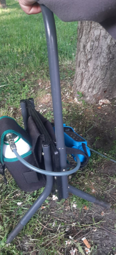 У Києві в парку "Перемога" роблять ін'єкції в стовбури каштанів: причина