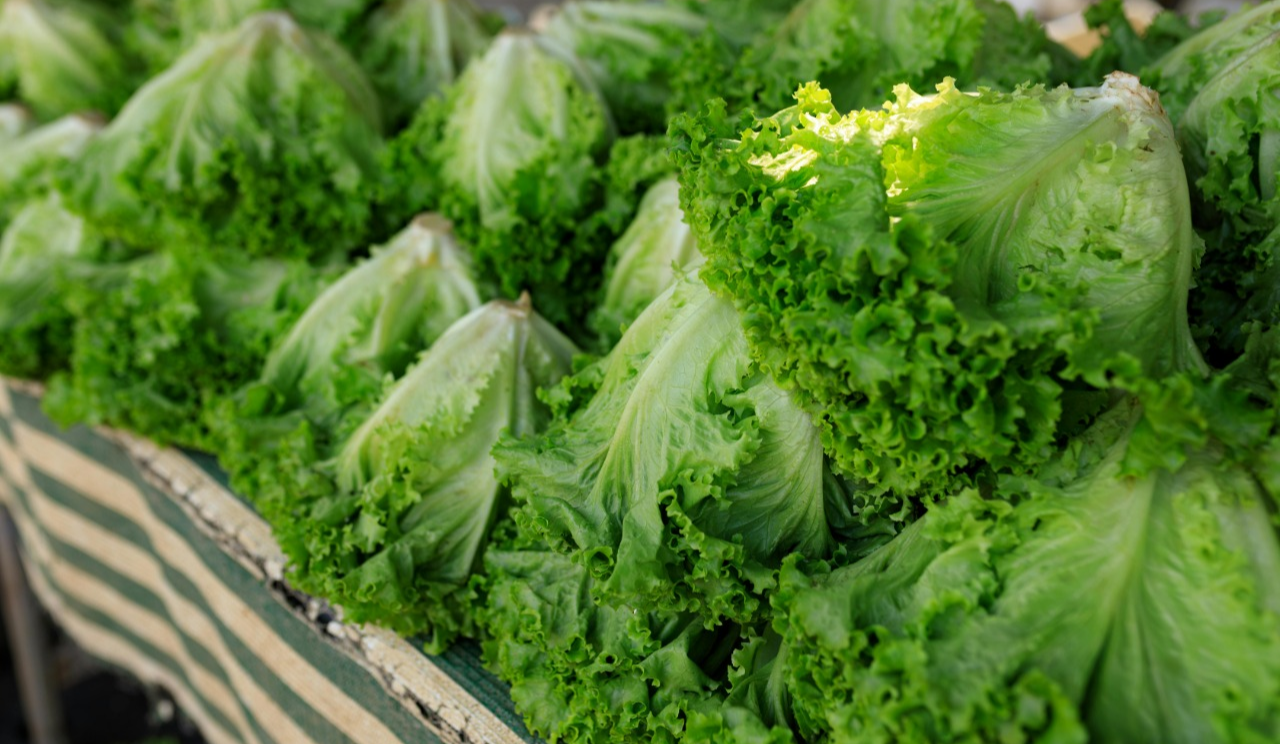 Продуктові сільськогосподарські ярмарки у Києві 20-25 травня 2025 року: перелік адрес