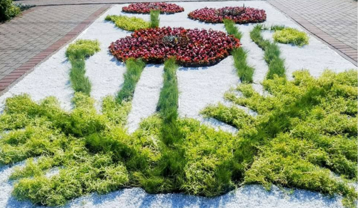 На Оболоні з'явилося квіткове панно з маками: фото