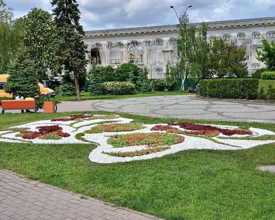 У сквері на Контрактовій в Києві облаштували квітник, натхнений традиційними орнаментами: фото