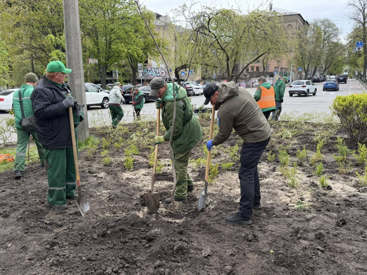Неподалік Львівської площі у Києві облаштували зелену зону: фото