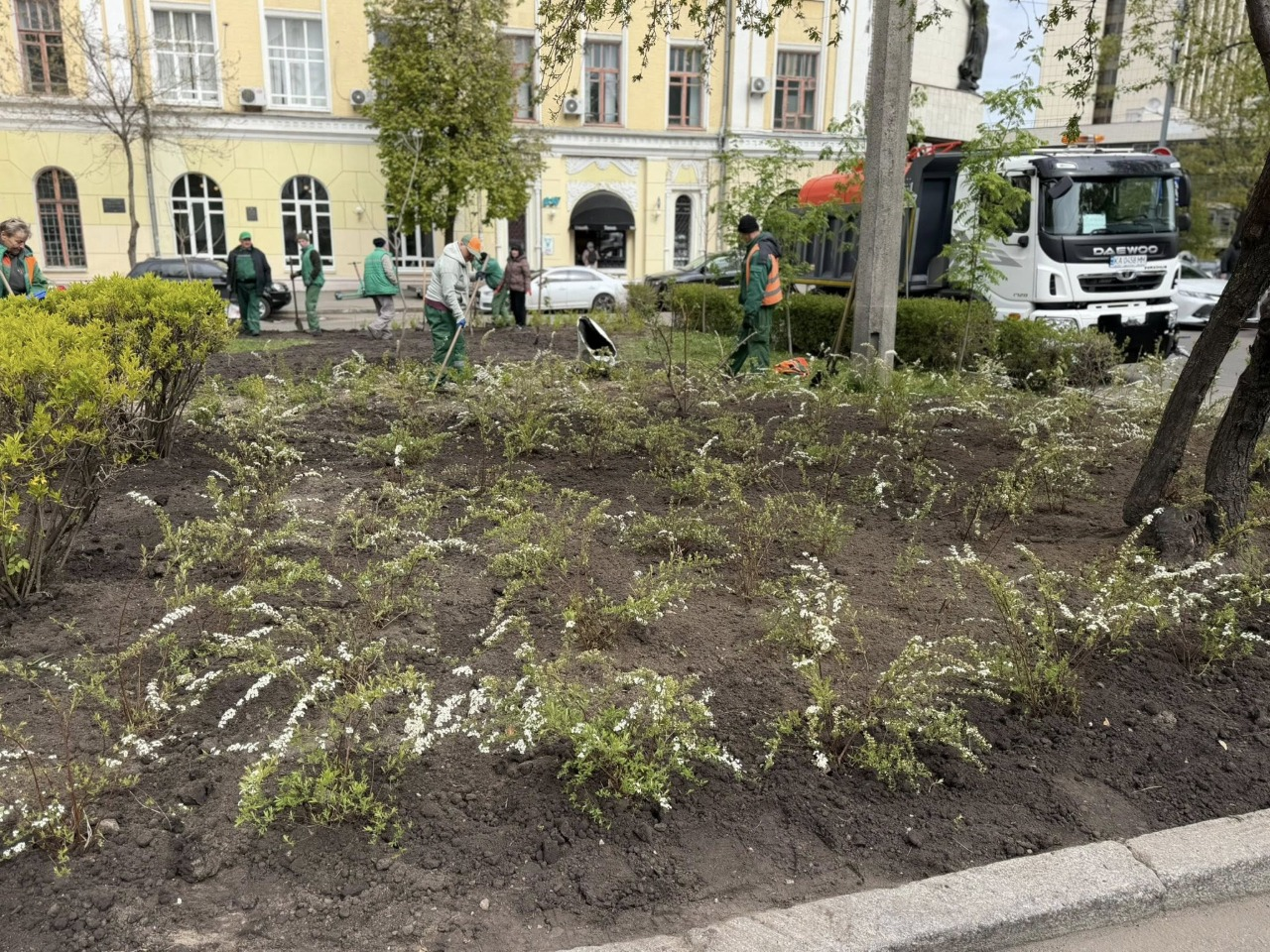 Неподалік Львівської площі у Києві облаштували зелену зону: фото
