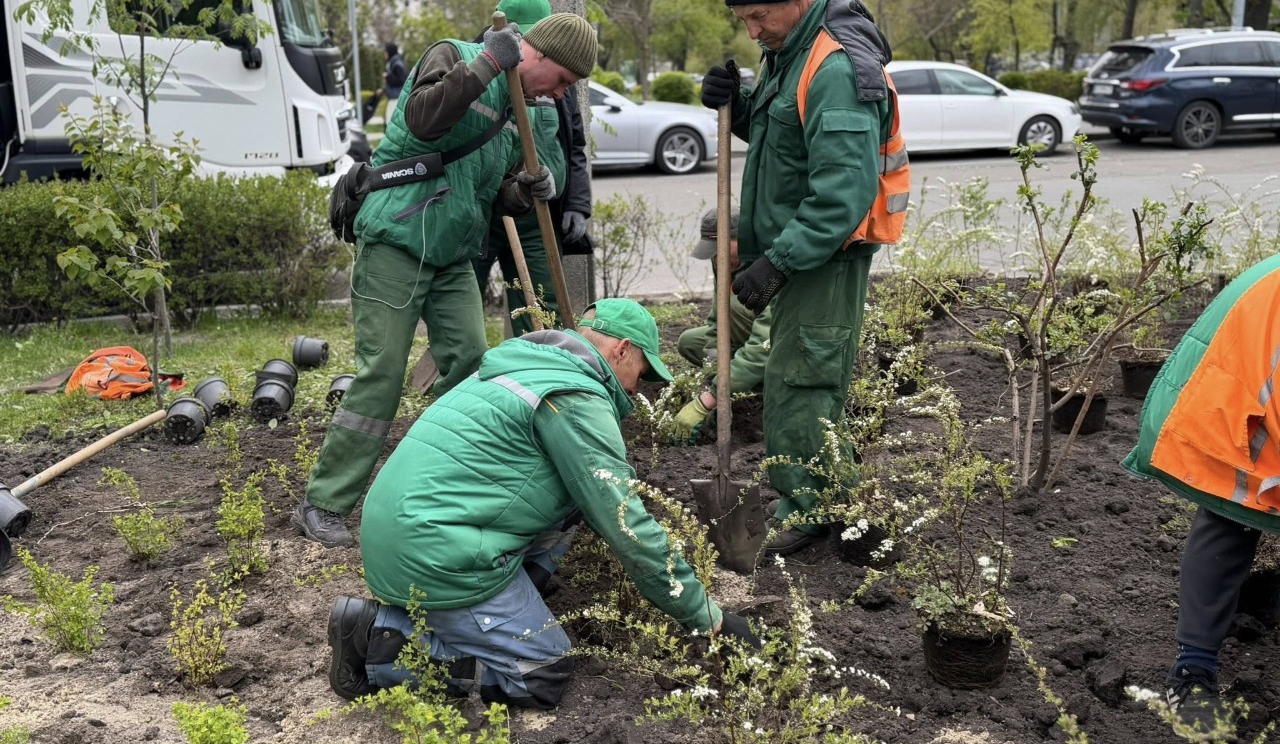 Неподалік Львівської площі в Києві облаштували зелену зону: фото