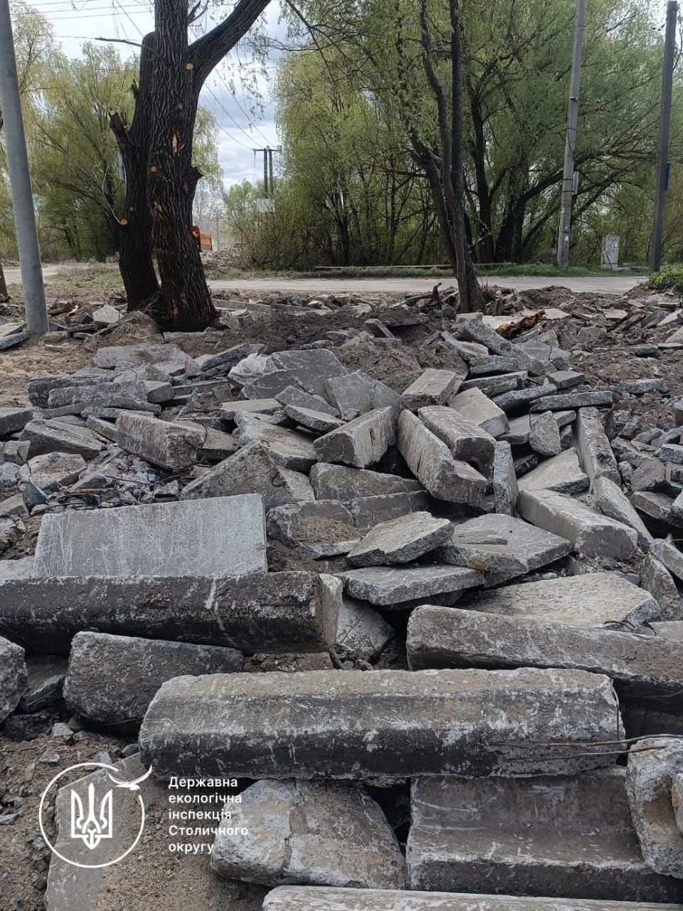 В заказнику у Бортничах знищили дерев на понад 2,6 млн грн: що відомо