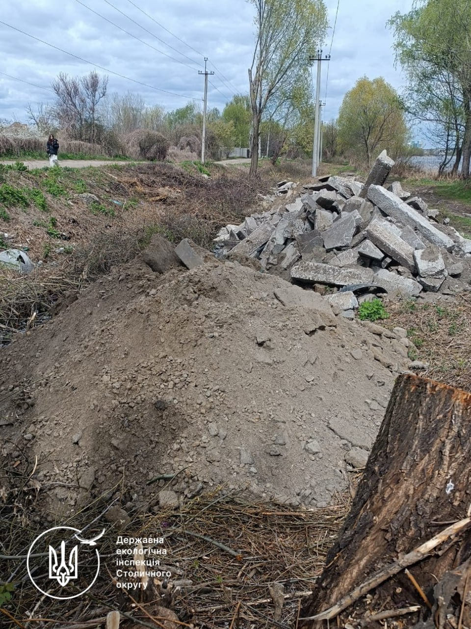 В заказнику у Бортничах знищили дерев на понад 2,6 млн грн: що відомо