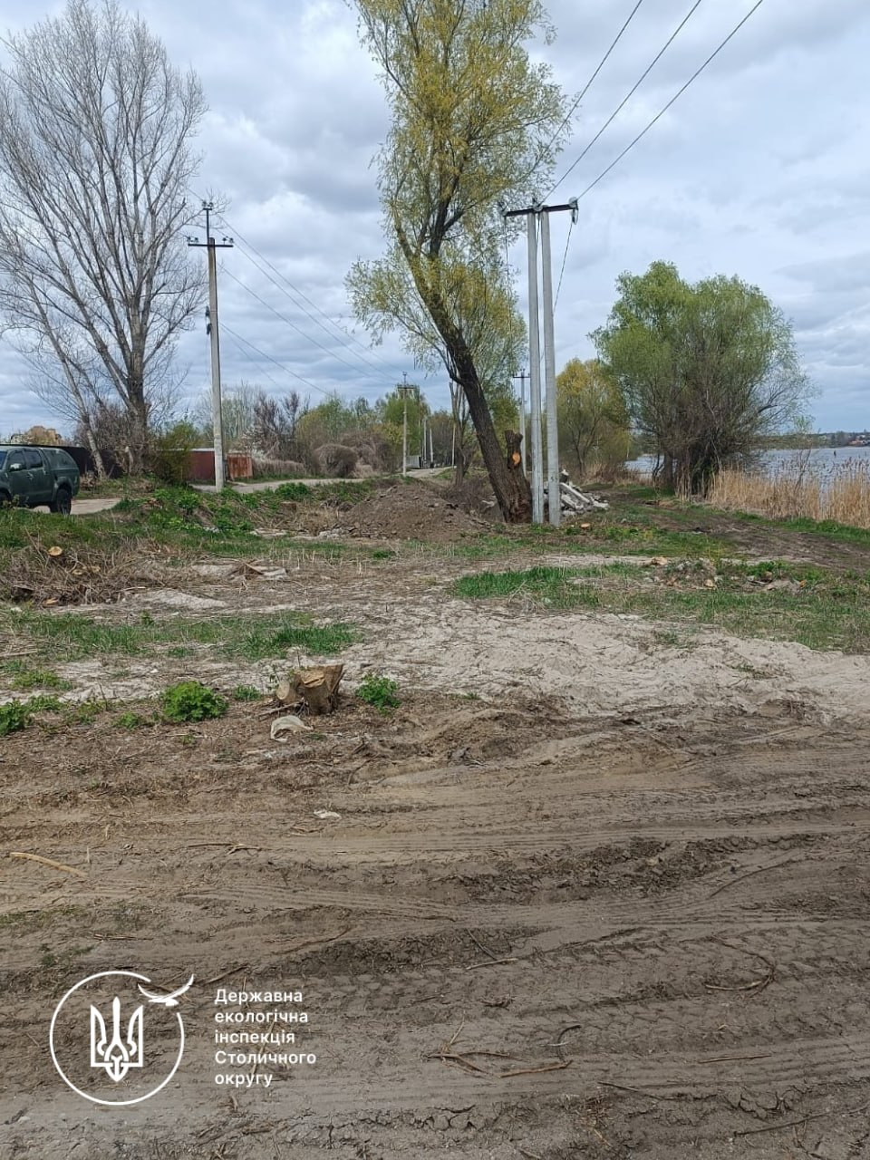 В заказнику у Бортничах знищили дерев на понад 2,6 млн грн: що відомо