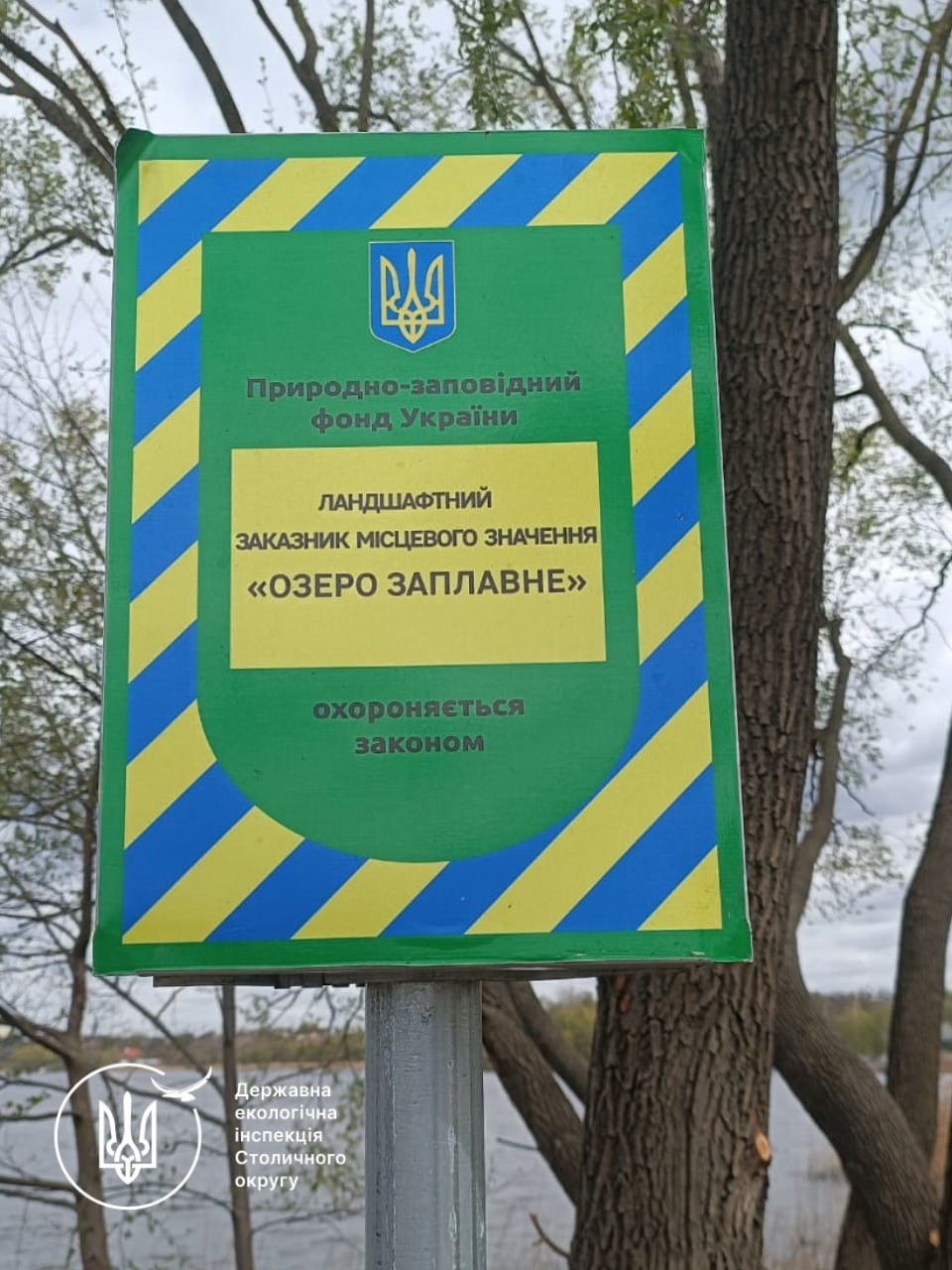 В заказнику у Бортничах знищили дерев на понад 2,6 млн грн: що відомо