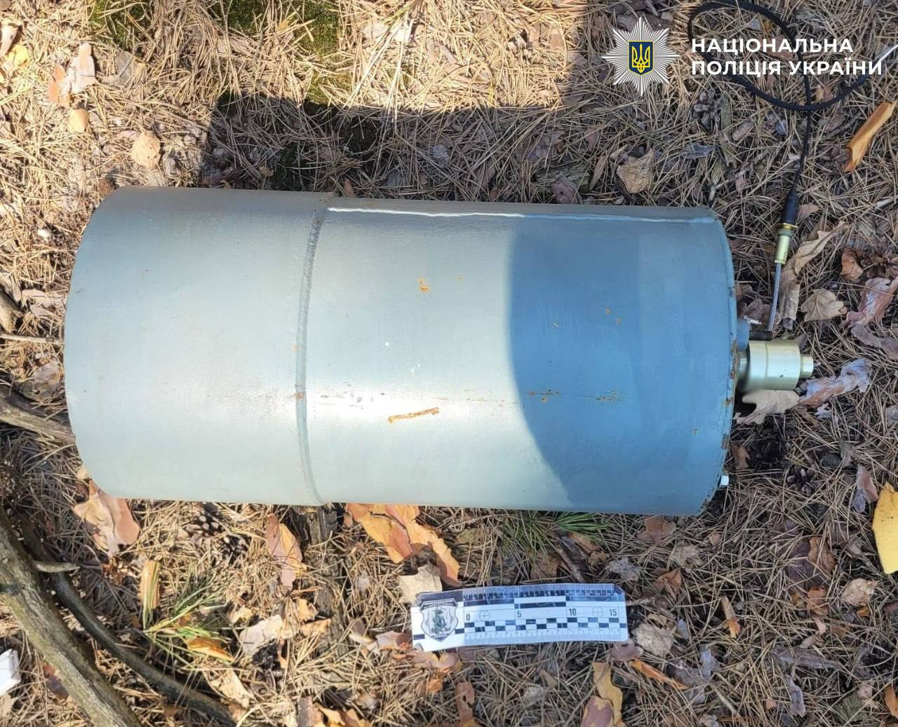 У лісосмузі Деснянського району Києва виявили уламки російського дрона: фото