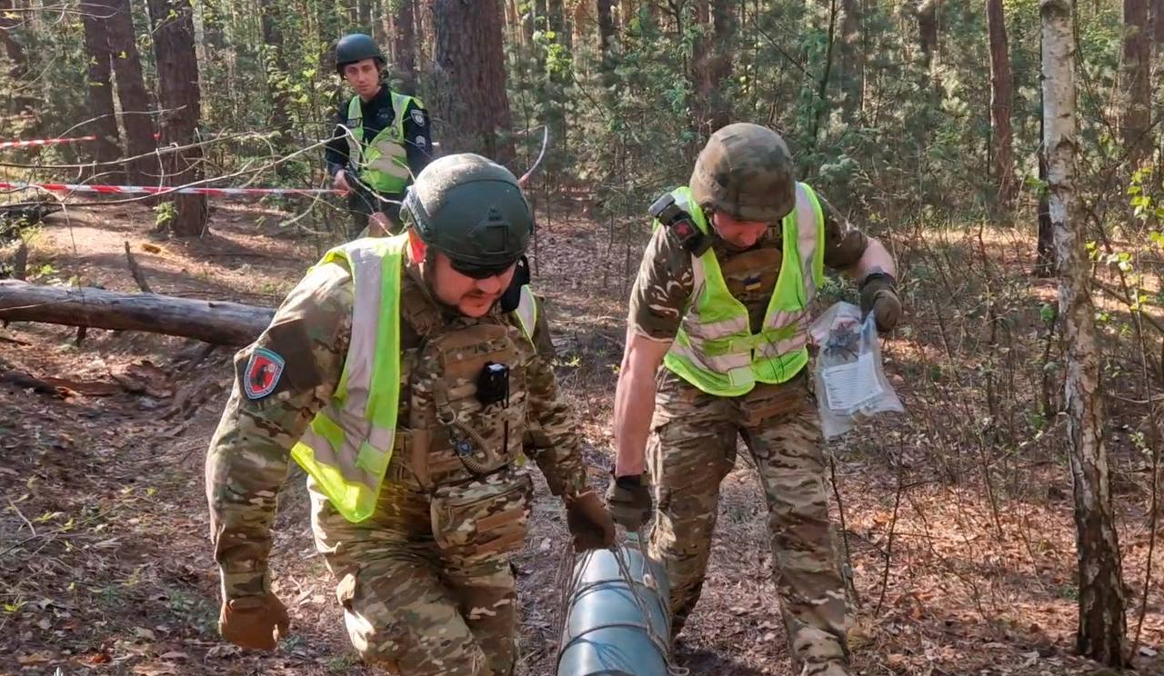 У лісосмузі Деснянського району виявили уламки російського дрона: фото