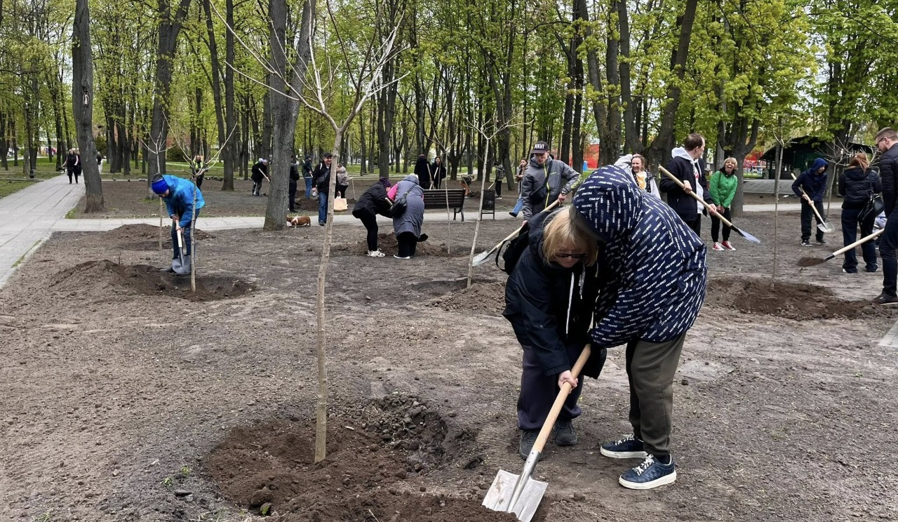Екоакція "1 мільйон дерев життя": скільки нових насаджень з’явилося у столиці