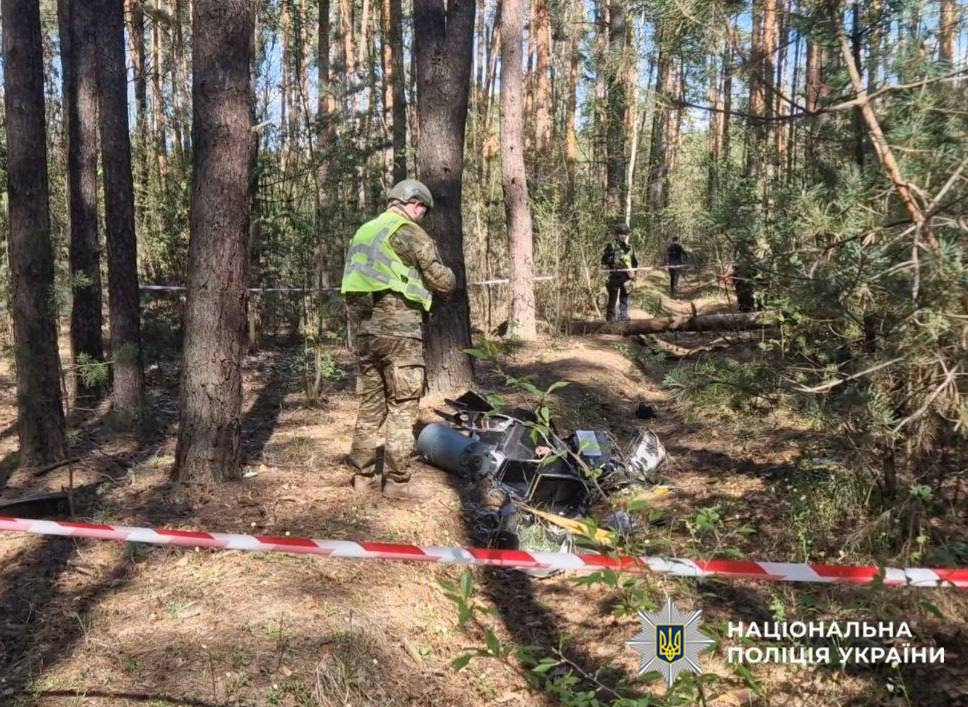 У лісосмузі Деснянського району Києва виявили уламки російського дрона: фото