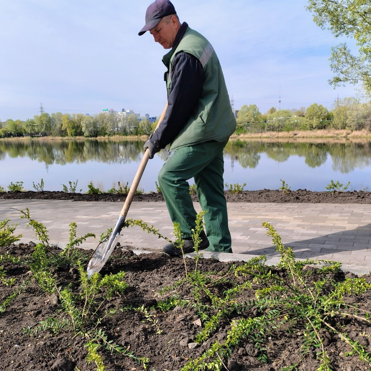 Екоакція "1 мільйон дерев життя": скільки нових насаджень з’явилося у Києві