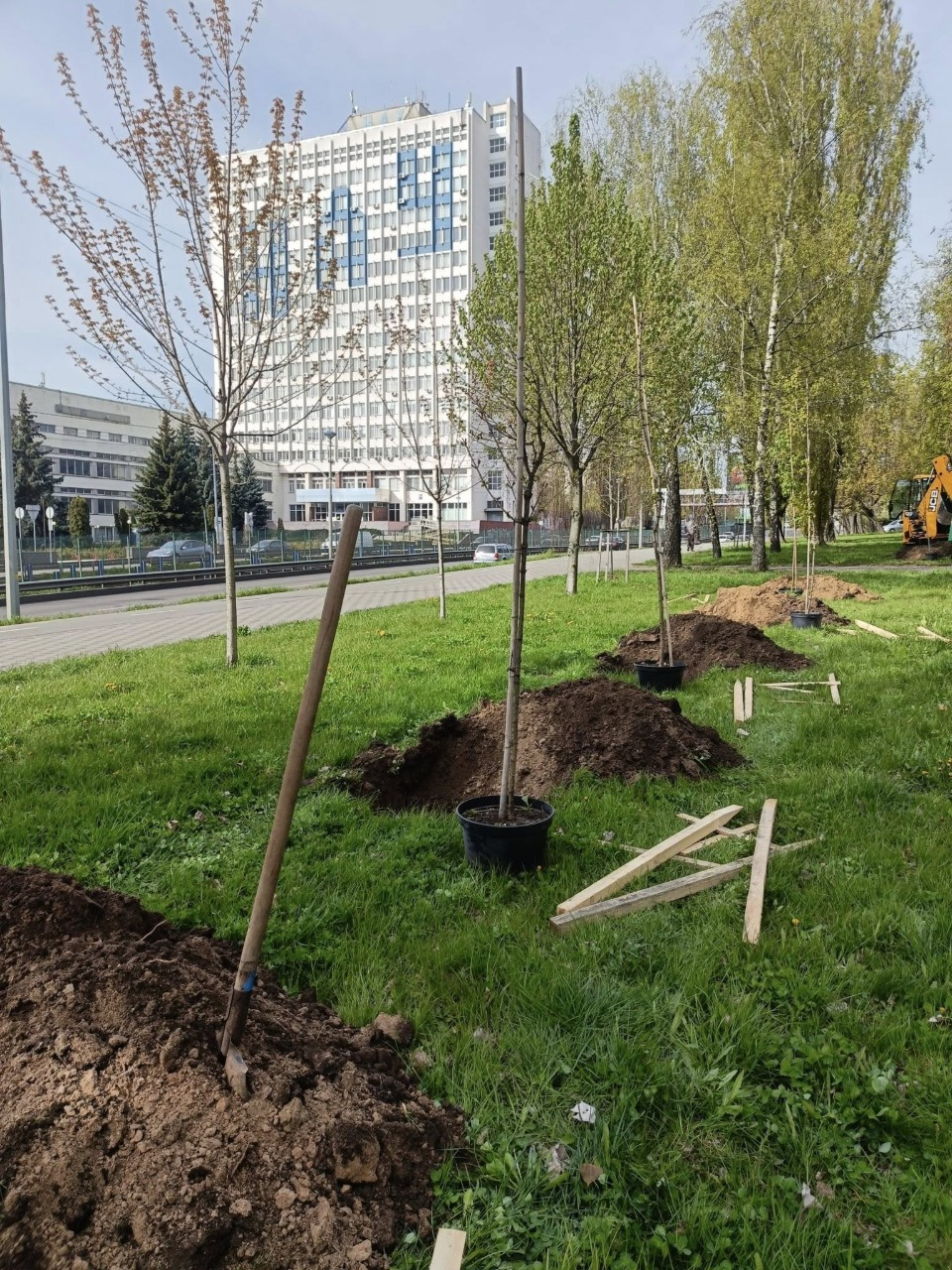 Екоакція "1 мільйон дерев життя": скільки нових насаджень з’явилося у Києві