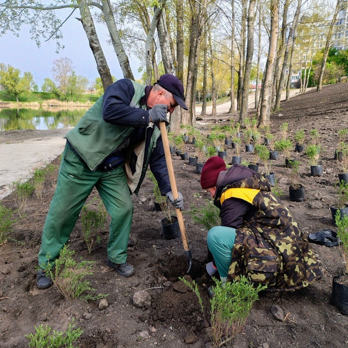Екоакція "1 мільйон дерев життя": скільки нових насаджень з’явилося у Києві