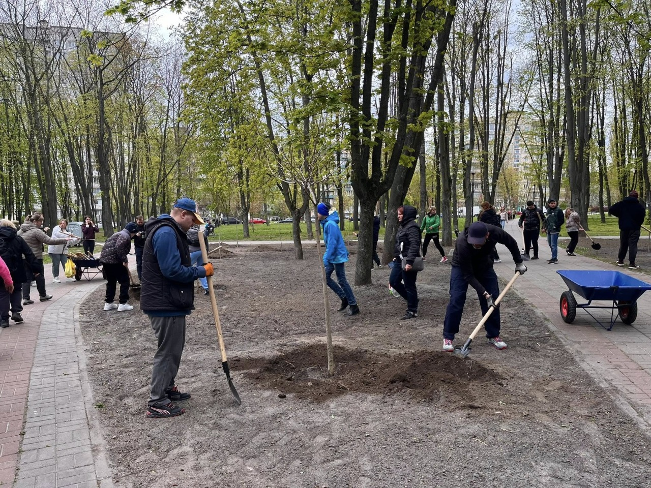 Екоакція "1 мільйон дерев життя": скільки нових насаджень з’явилося у Києві