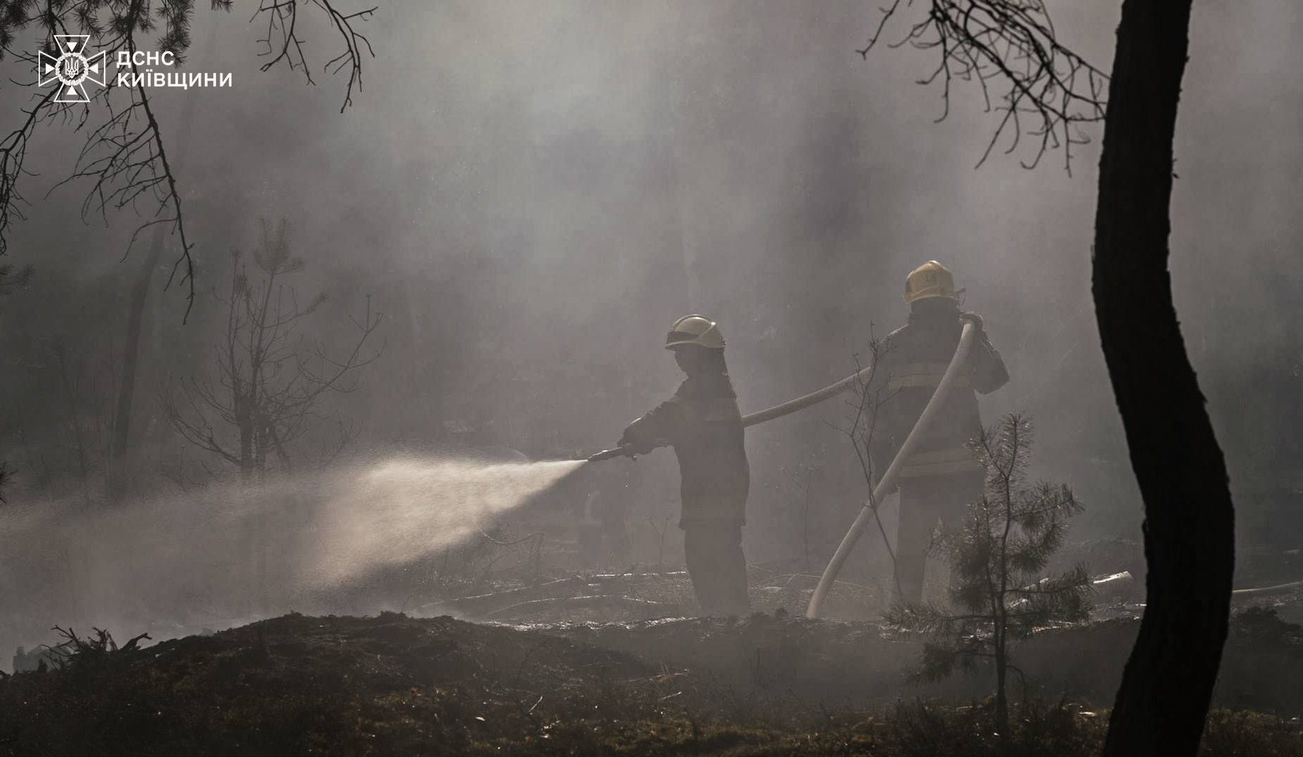 Пожежа в Чорнобильській зоні відчуження: чи є радіаційна загроза