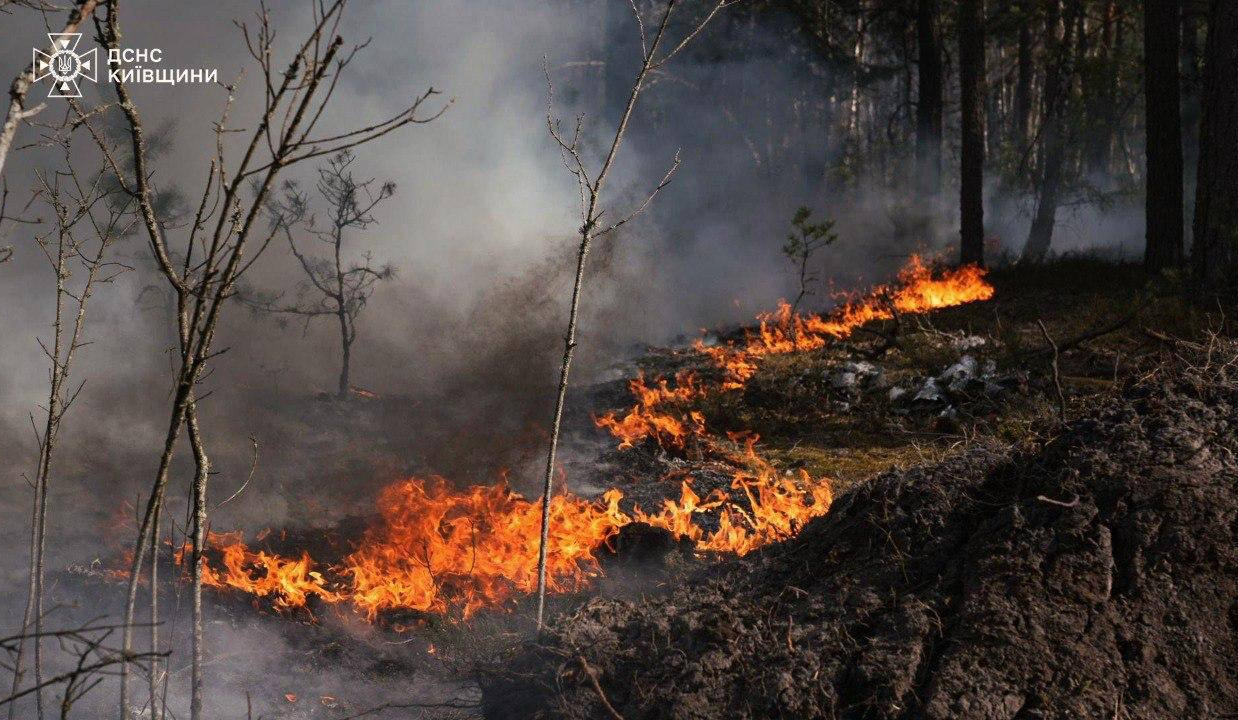 У Зоні відчуження гасять масштабну лісову пожежу: фото та подробиці