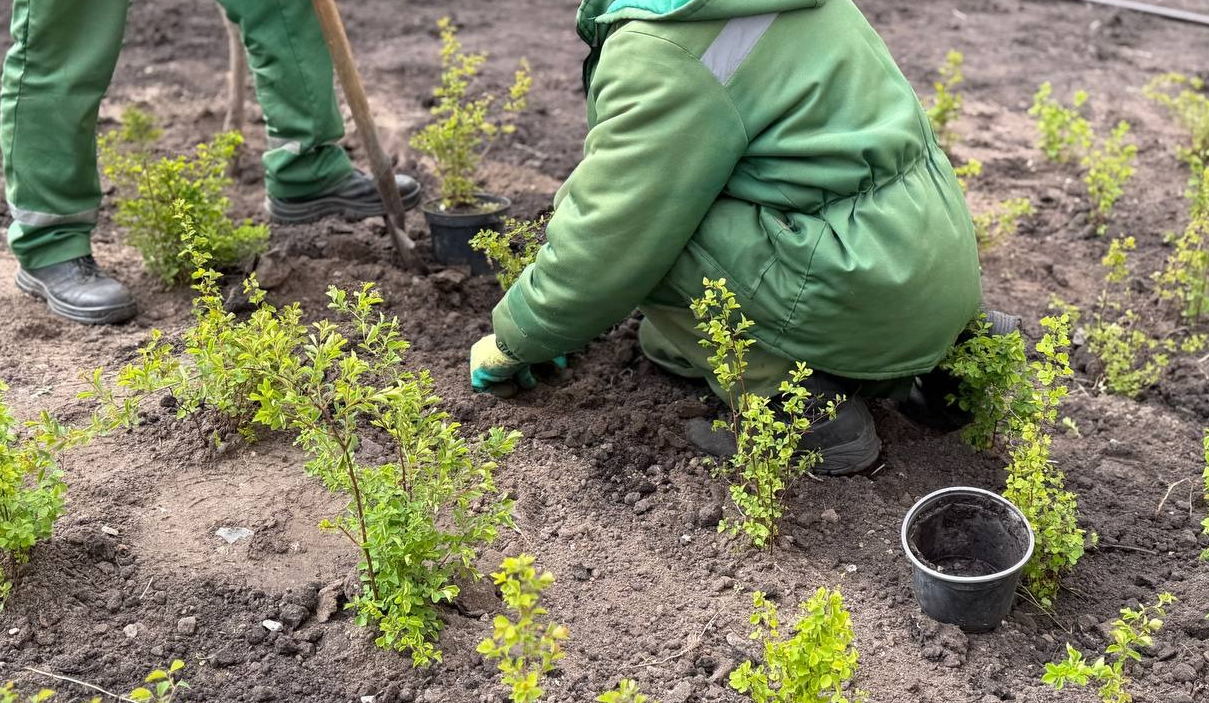На місці демонтованих МАФів біля станції метро "Сирець" облаштували зелену зону