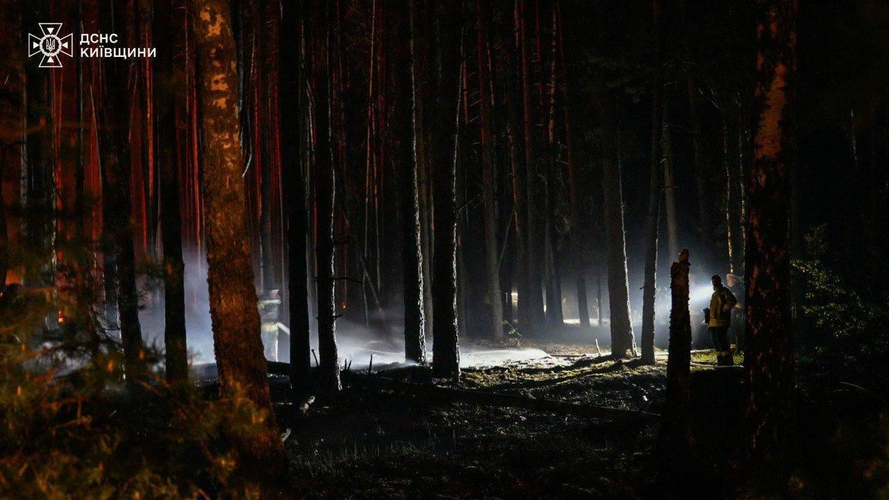 Триває ліквідація лісової пожежі у Зоні відчуження на Київщині: фото та подробиці