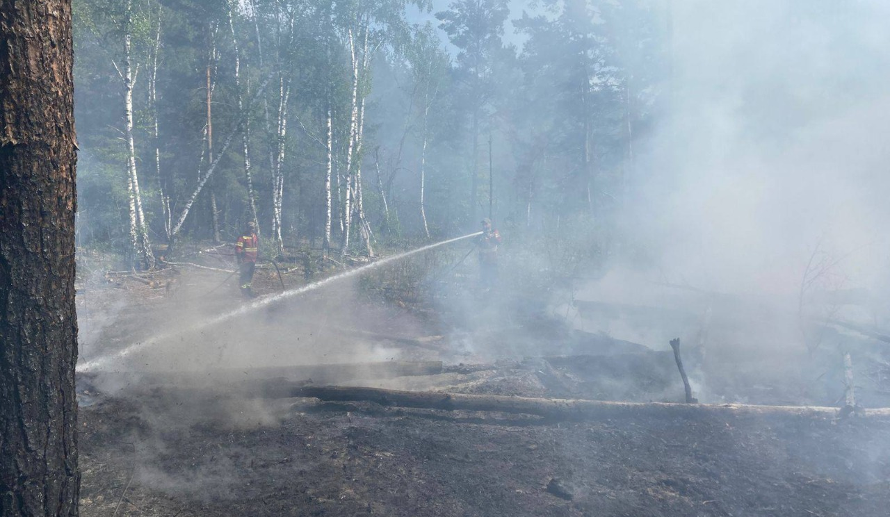 У Зоні відчуження знову спалахнула пожежа після російської дронової атаки: фото