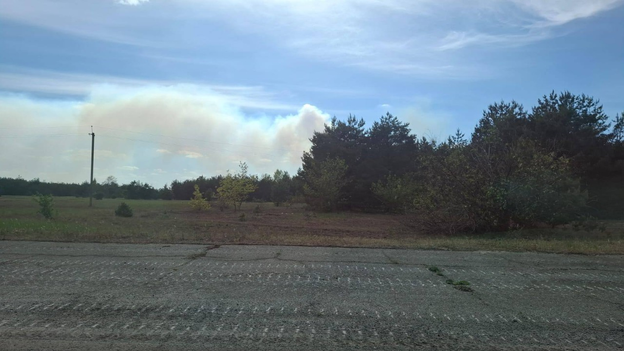 У Зоні відчуження на Київщині знову спалахнула пожежа після російської дронової атаки: фото