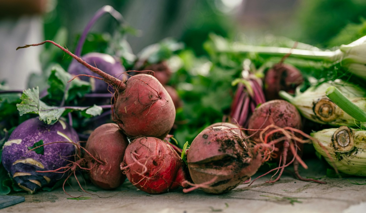 Де у Києві проходитимуть сезонні продуктові ярмарки цього тижня: адреси