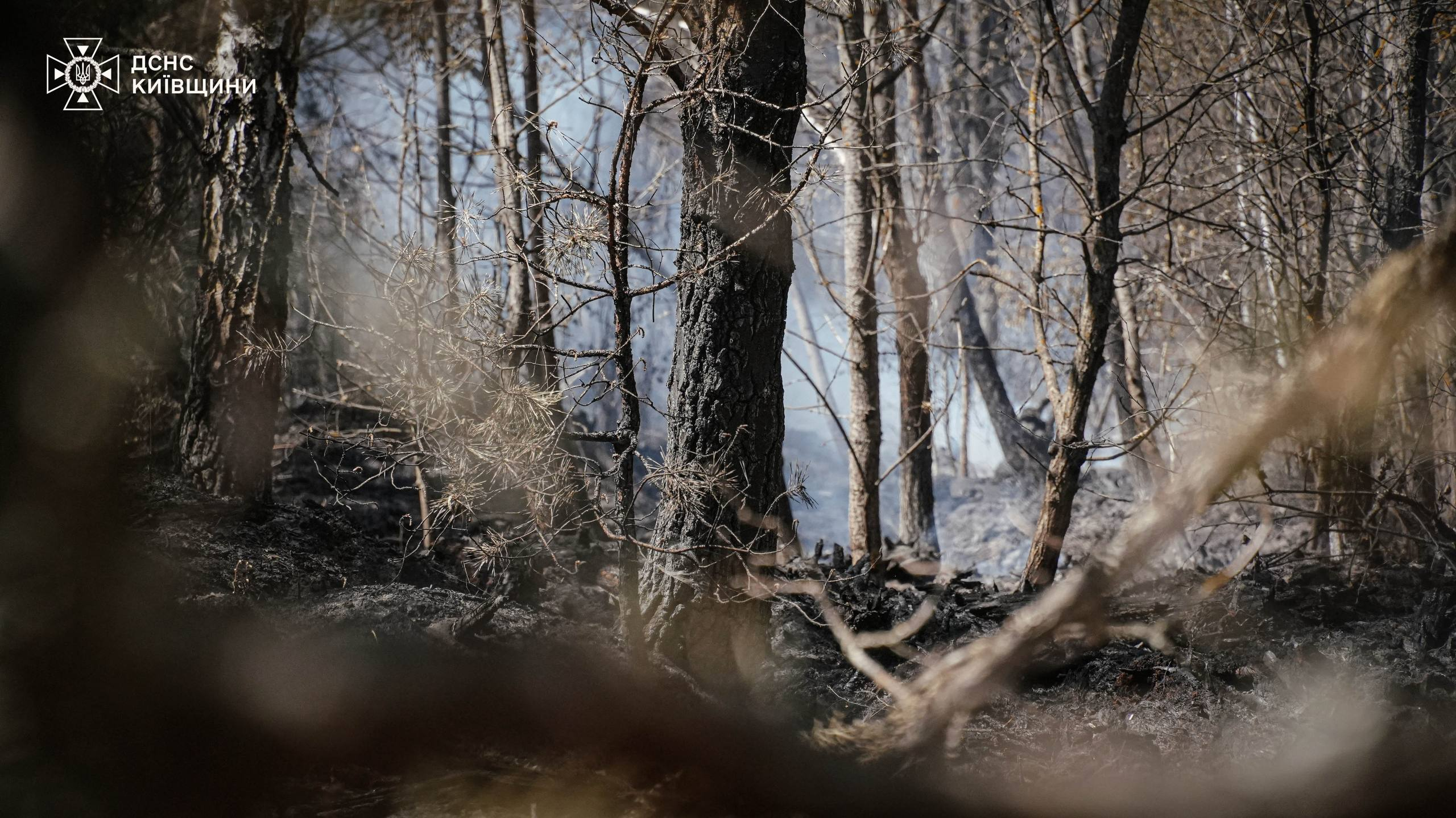 У Зоні відчуження на Київщині гасять пожежу, що виникла внаслідок дронової атаки: фото